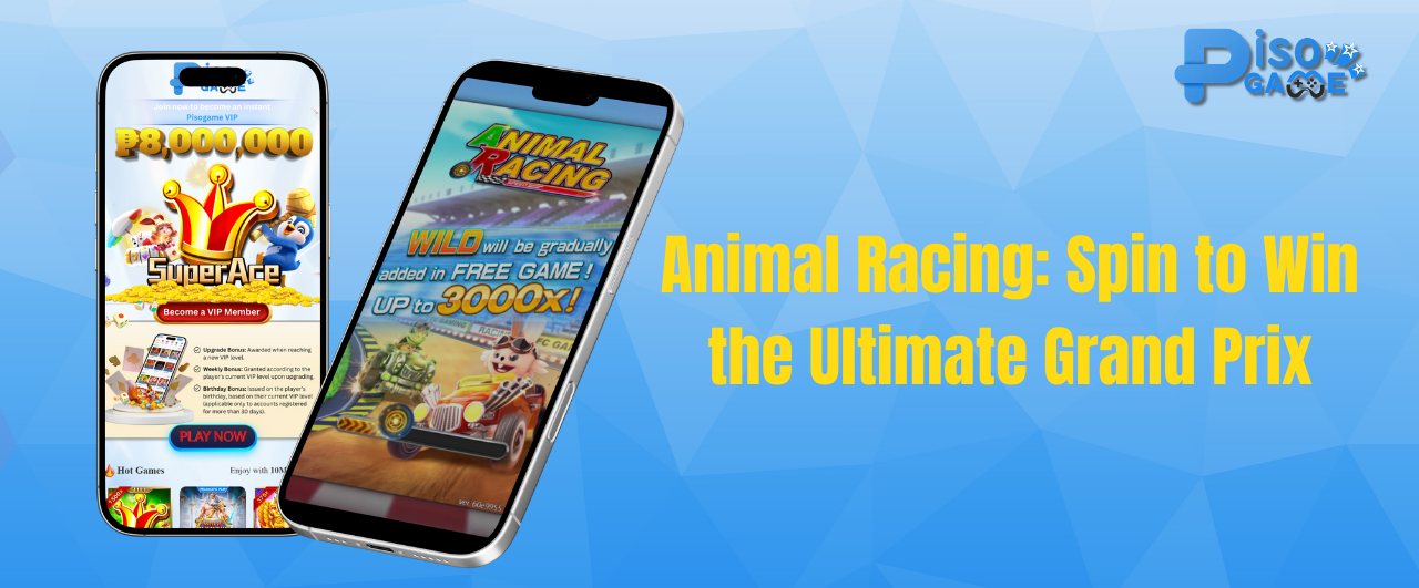 Animal Racing