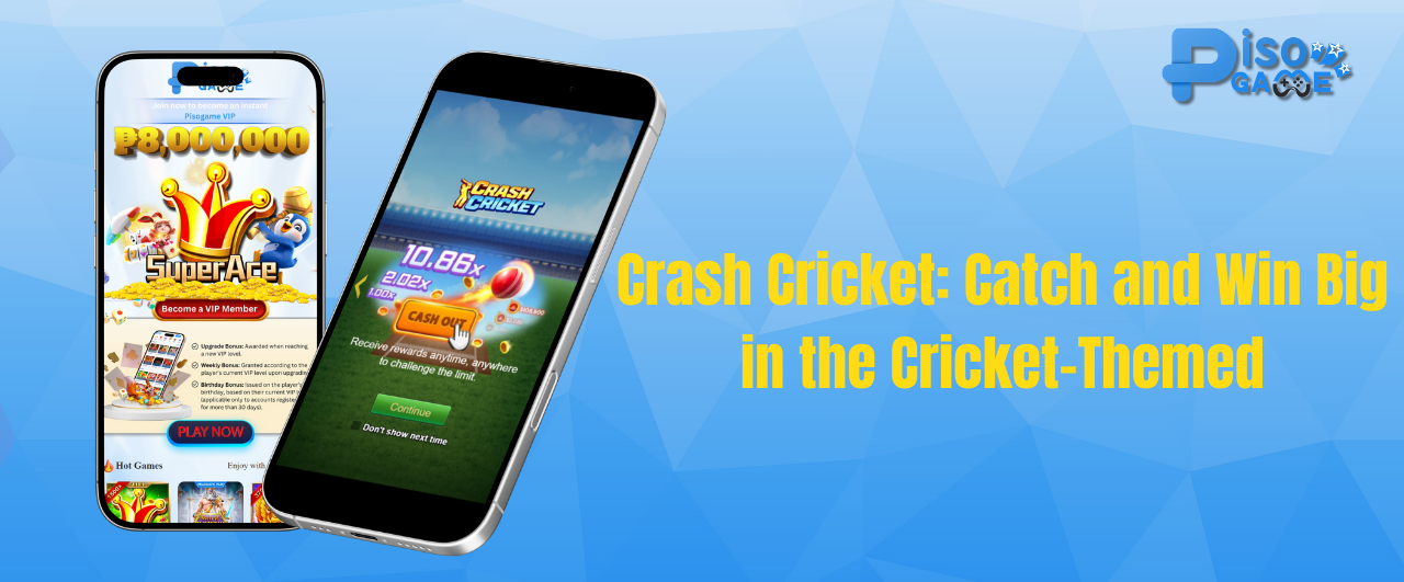 Crash Cricket